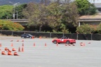 IMG 7219