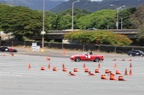 IMG 7221
