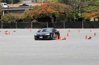 IMG 7228
