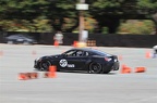 IMG 7241