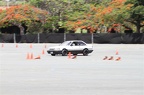 IMG 7254