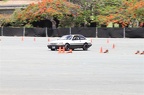 IMG 7255