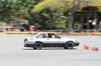 IMG 7259