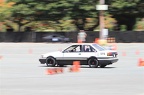 IMG 7269