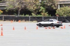 IMG 7272