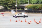 IMG 7273