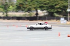 IMG 7274