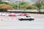 IMG 7275