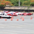 IMG 7279