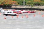 IMG 7279