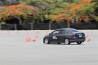 IMG 7294