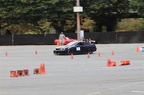 IMG 7299