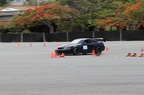 IMG 7301