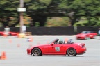 IMG 7333