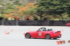 IMG 7334