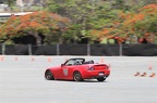IMG 7335