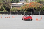 IMG 7336