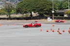 IMG 7337