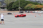 IMG 7339