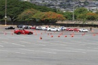 IMG 7348