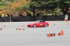IMG 7349