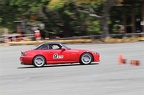 IMG 7354