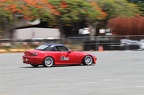 IMG 7357