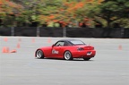 IMG 7364