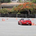 IMG 7365