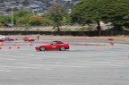 IMG 7368