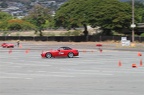 IMG 7367
