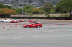 IMG 7369