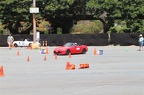IMG 7371