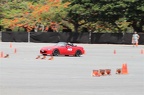 IMG 7372