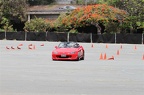 IMG 7375