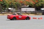 IMG 7381