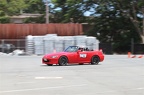 IMG 7384