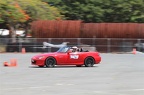 IMG 7385