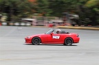 IMG 7387