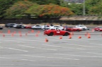 IMG 7404