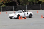 IMG 7406