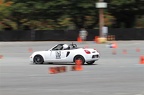 IMG 7418