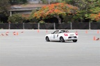 IMG 7420