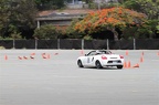 IMG 7421