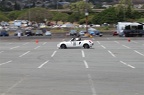 IMG 7428