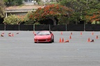 IMG 7429