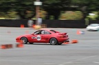 IMG 7446