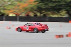 IMG 7447
