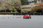 IMG 7451