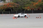 IMG 7470